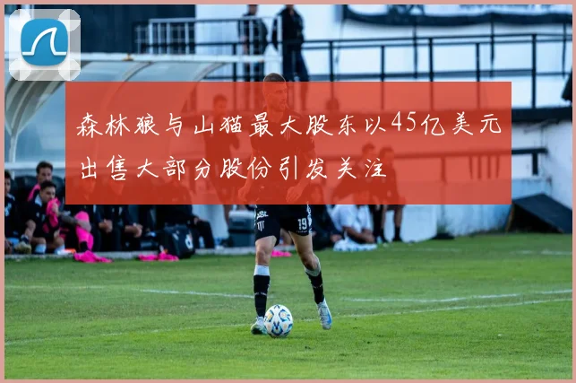 森林狼与山猫最大股东以45亿美元出售大部分股份引发关注